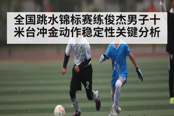 全国跳水锦标赛练俊杰男子十米台冲金动作稳定性关键分析