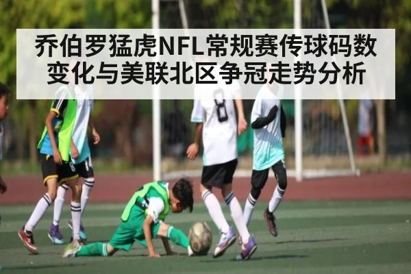 乔伯罗猛虎NFL常规赛传球码数变化与美联北区争冠走势分析